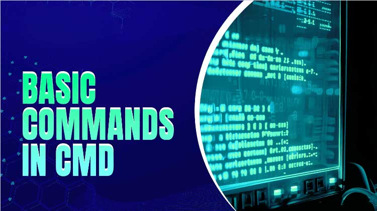 在命令提示符中基本命令 在命令提示符中基本命令