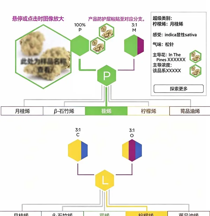 实验室前后端 + 移动端系统技术架构.webp