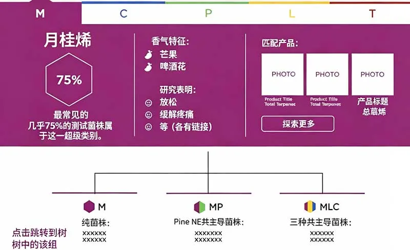 实验室网站与数字采样应用数字化开发案例.webp